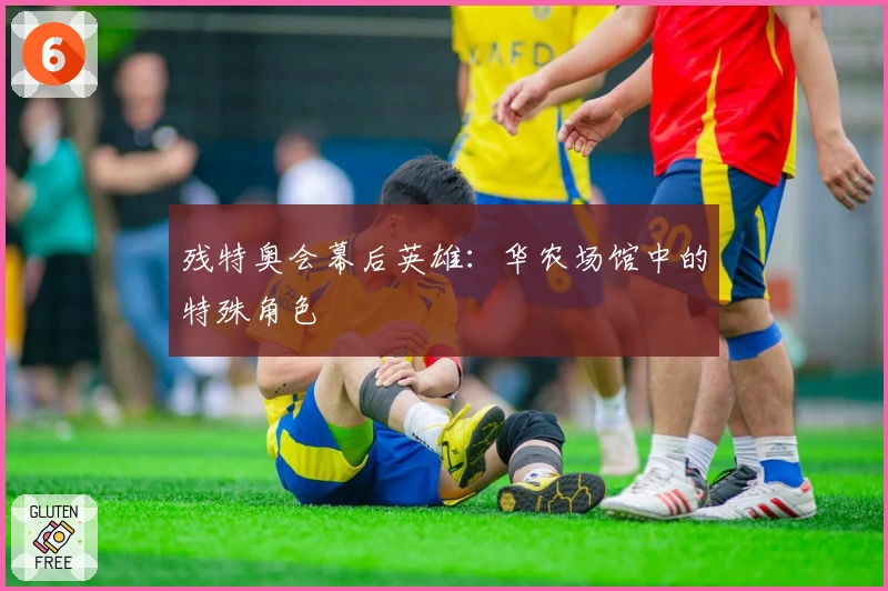 残特奥会幕后英雄：华农场馆中的特殊角色