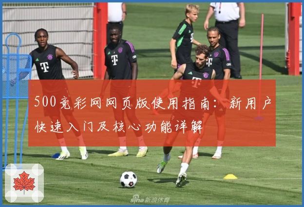 500竞彩网网页版使用指南：新用户快速入门及核心功能详解