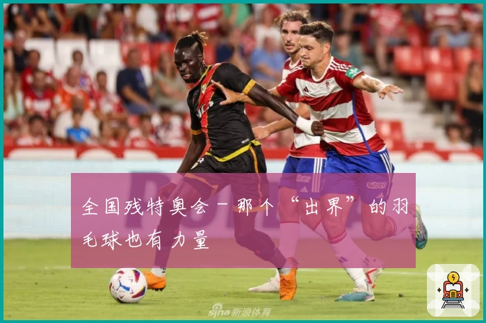 全国残特奥会 - 那个“出界”的羽毛球也有力量