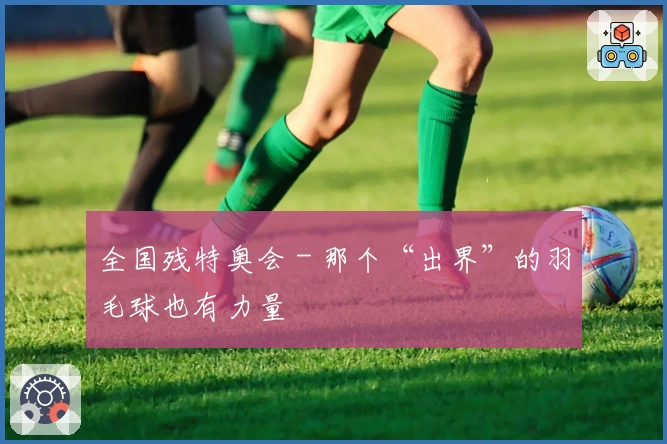 全国残特奥会 - 那个“出界”的羽毛球也有力量