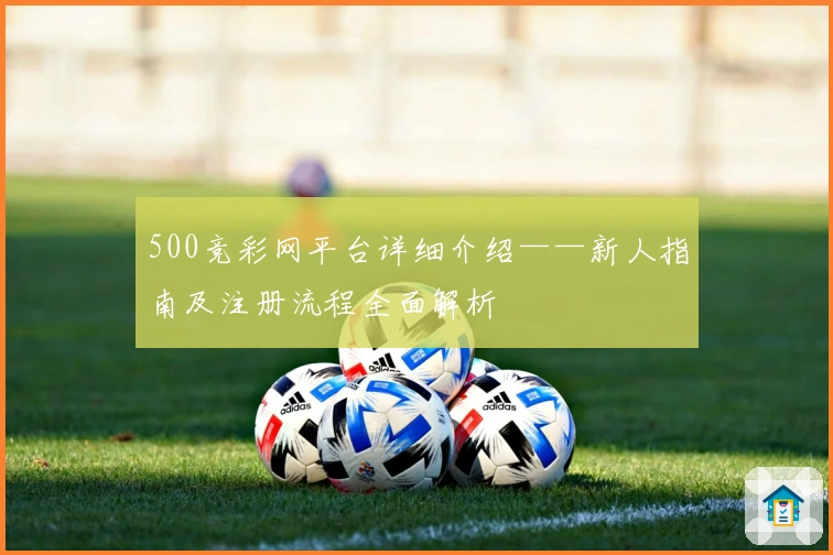 500竞彩网平台详细介绍——新人指南及注册流程全面解析